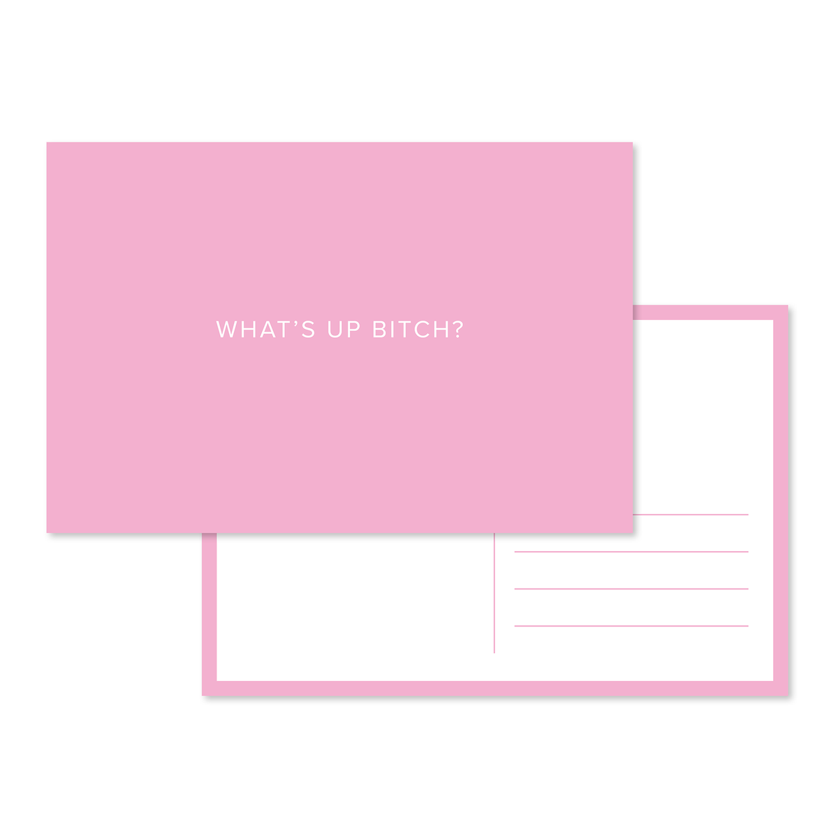 What's Up Bitch Postcard