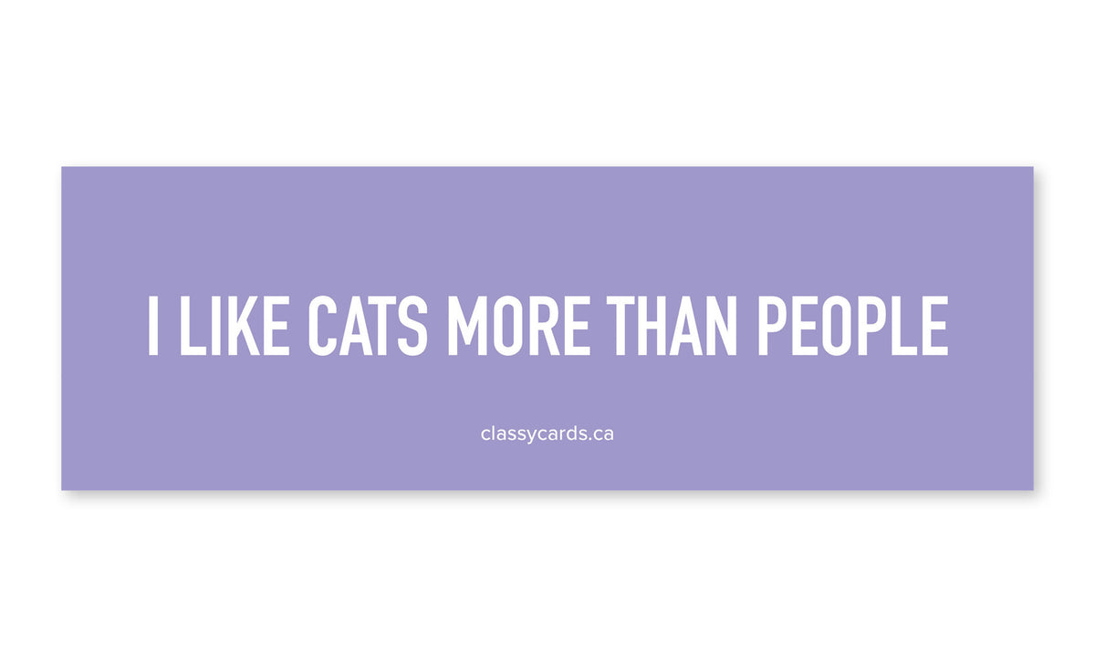 I Like Cats More than People Car Magnet