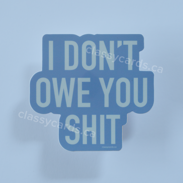 Owe You Shit Vinyl Sticker