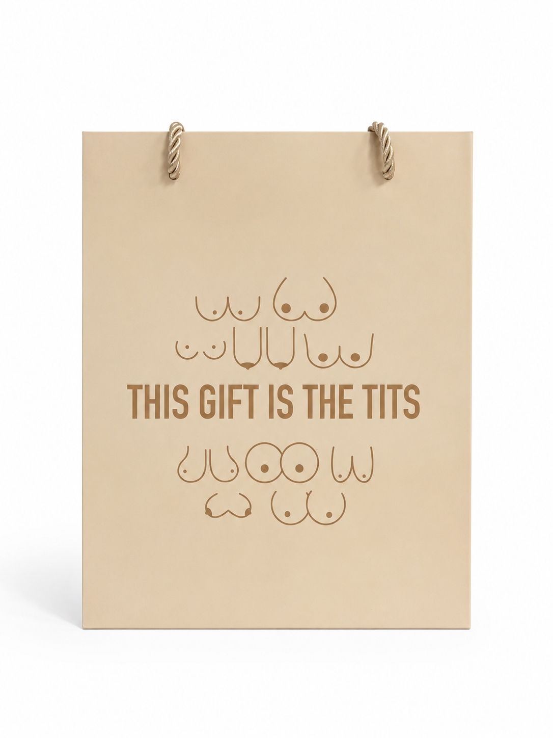 This Gift is the Tits Gift Bag - Medium
