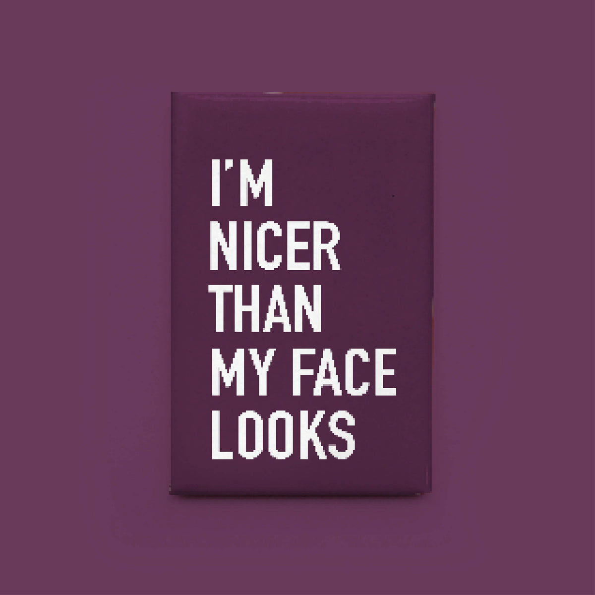 Nicer Than My Face Magnet