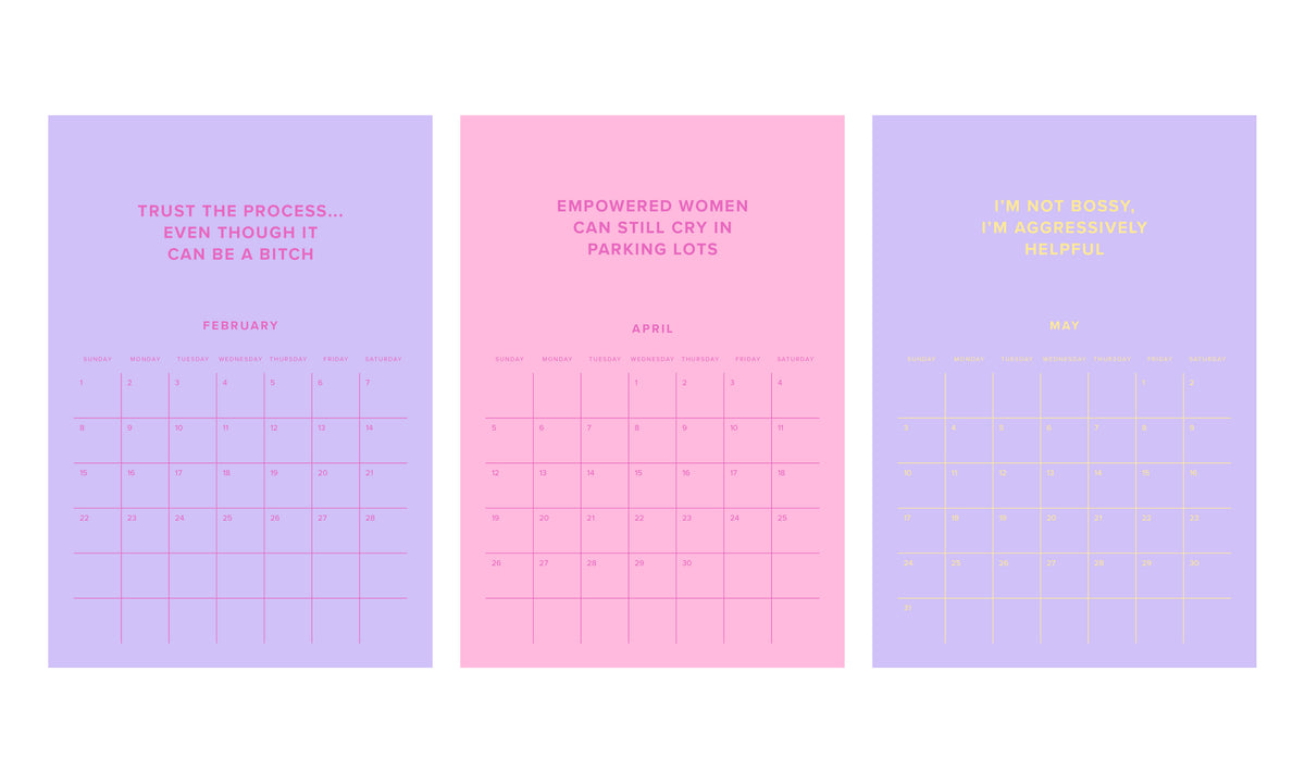 Babe You've Fucking Got This 2026 Calendar
