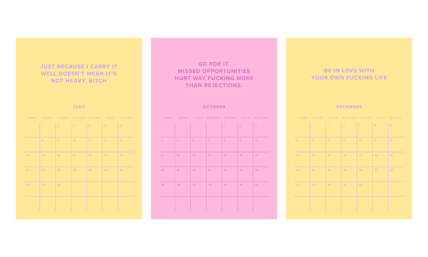 Babe You've Fucking Got This 2026 Calendar