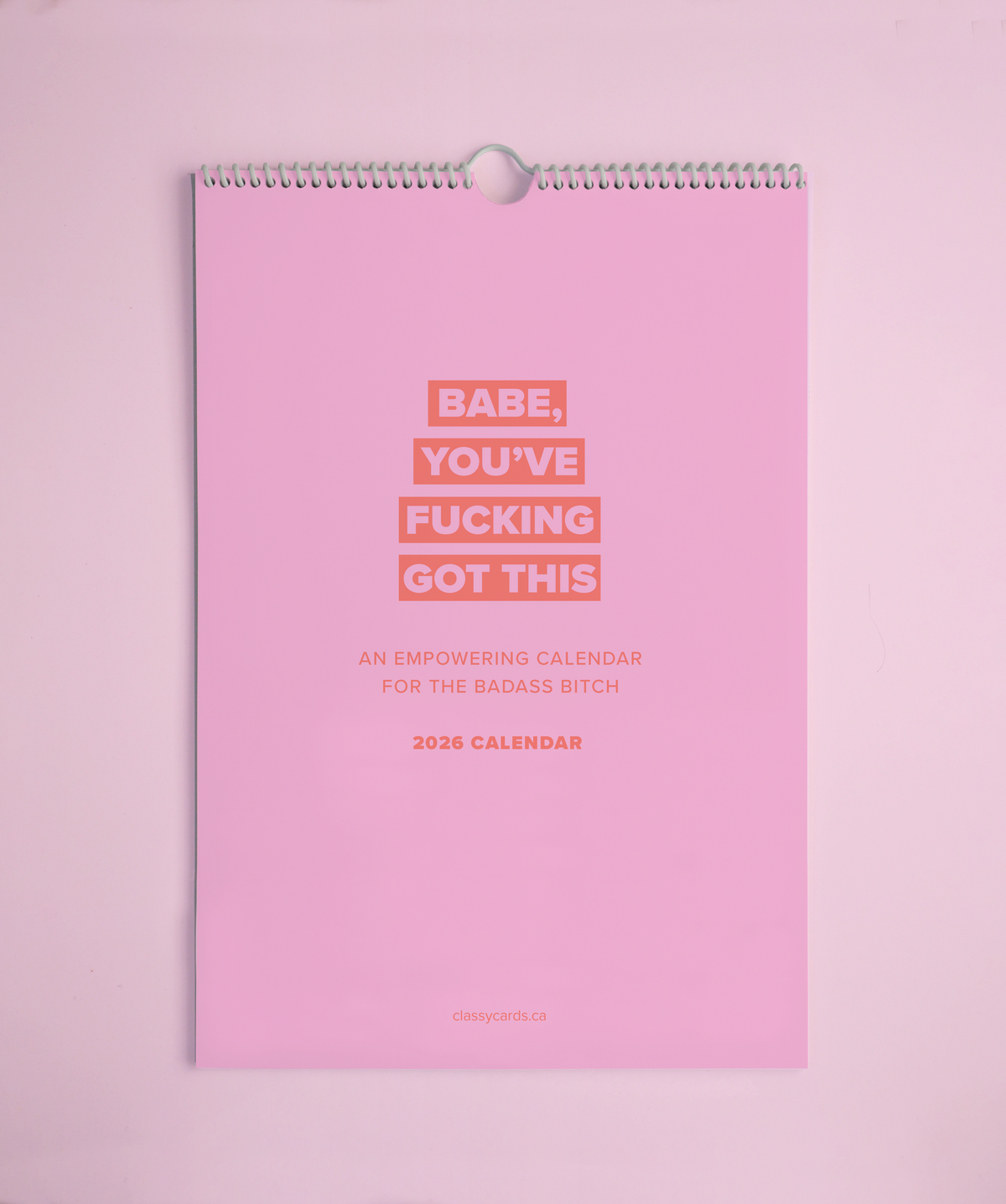 Babe You've Fucking Got This 2026 Calendar