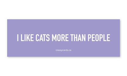 I Like Cats More than People Car Magnet