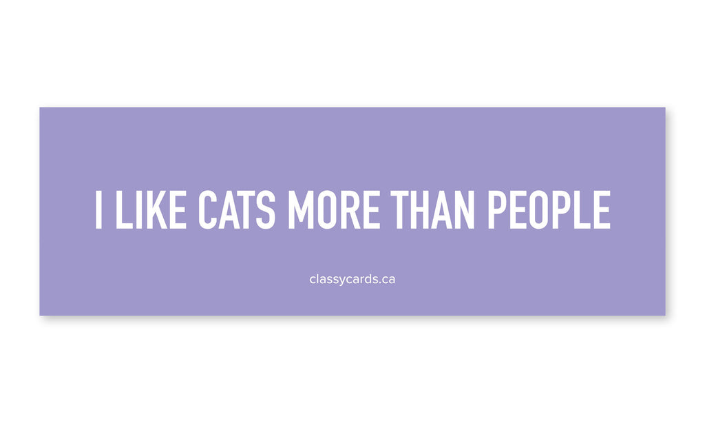 I Like Cats More than People Car Magnet