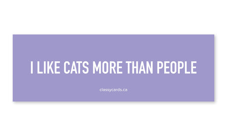 I Like Cats More than People Car Magnet