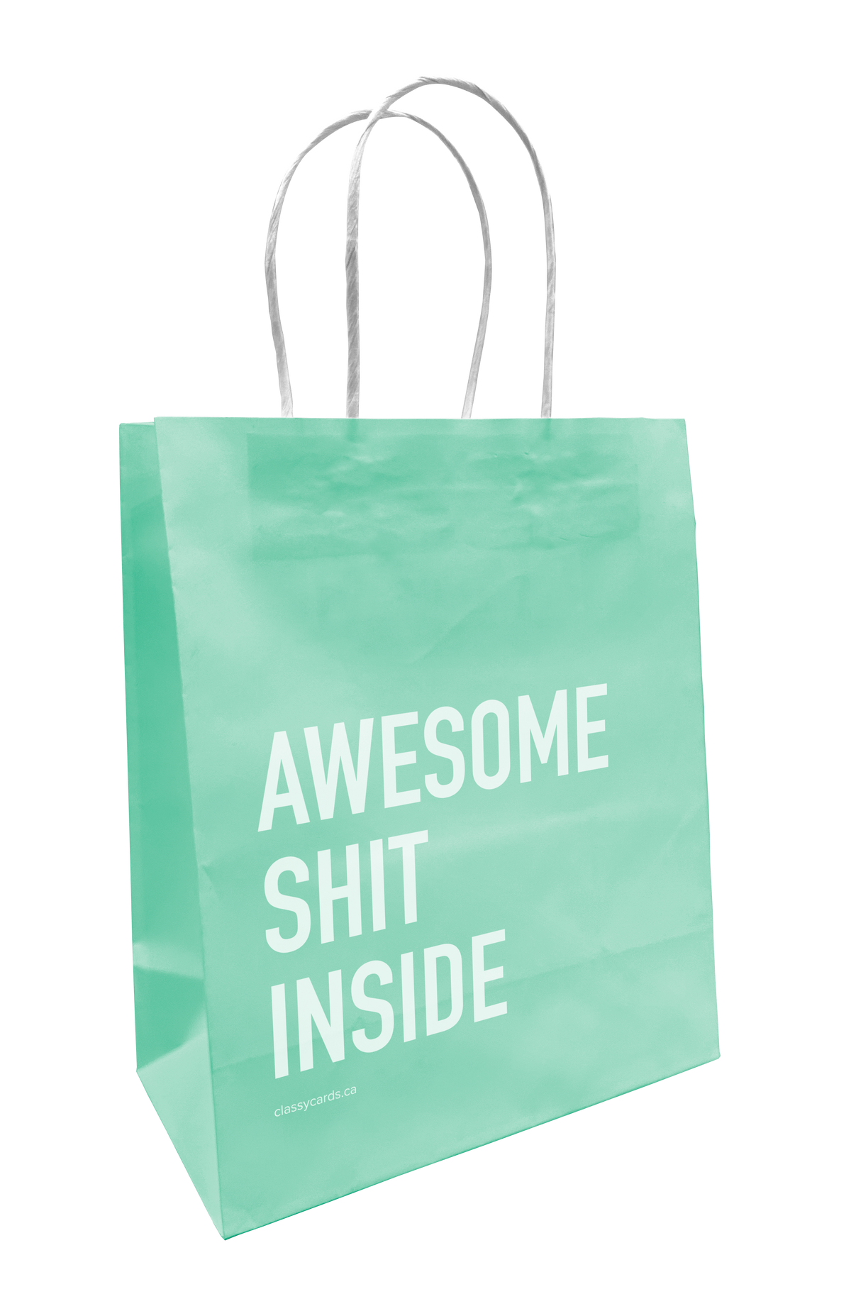 Shit Inside Paper Bag