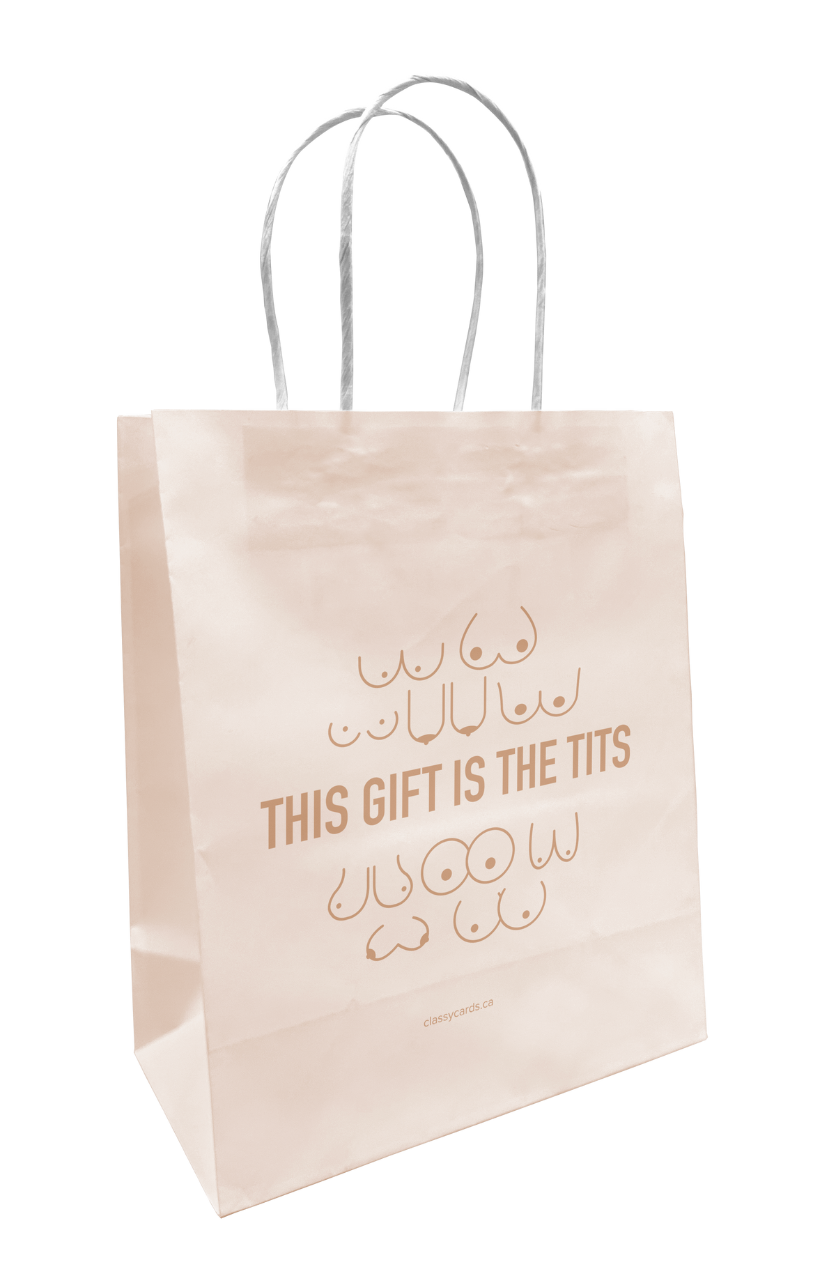 Paper Bag